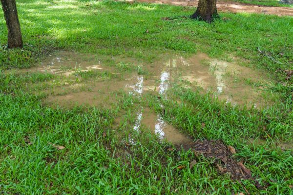 Cost of Storm Water Drainage Service in Manassas