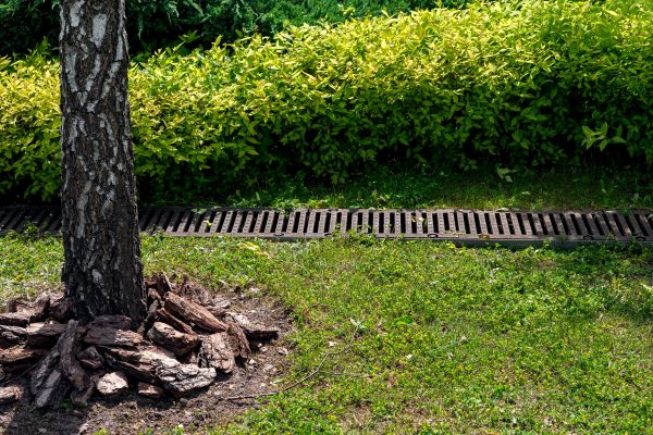 Cost of Wet Yard Drainage in Manassas