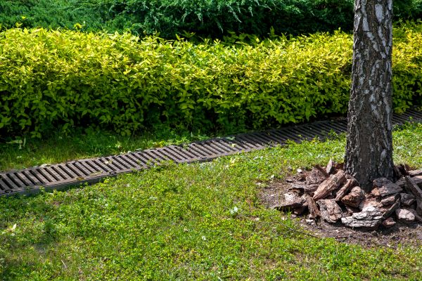 Cost of Residential Landscape Drainage in Manassas