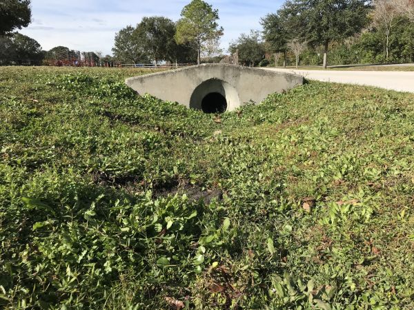 Cost of Swale Drainage Service in Manassas
