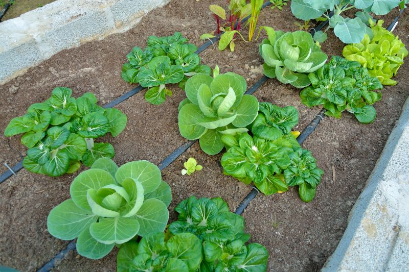 Drainage Pipe Systems